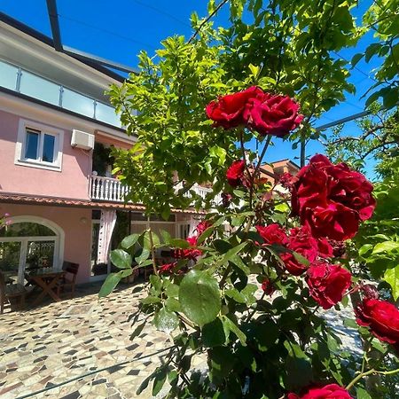 Apartments Tereza Novigrad  Luaran gambar