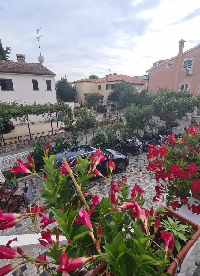 Apartments Tereza Novigrad  Luaran gambar
