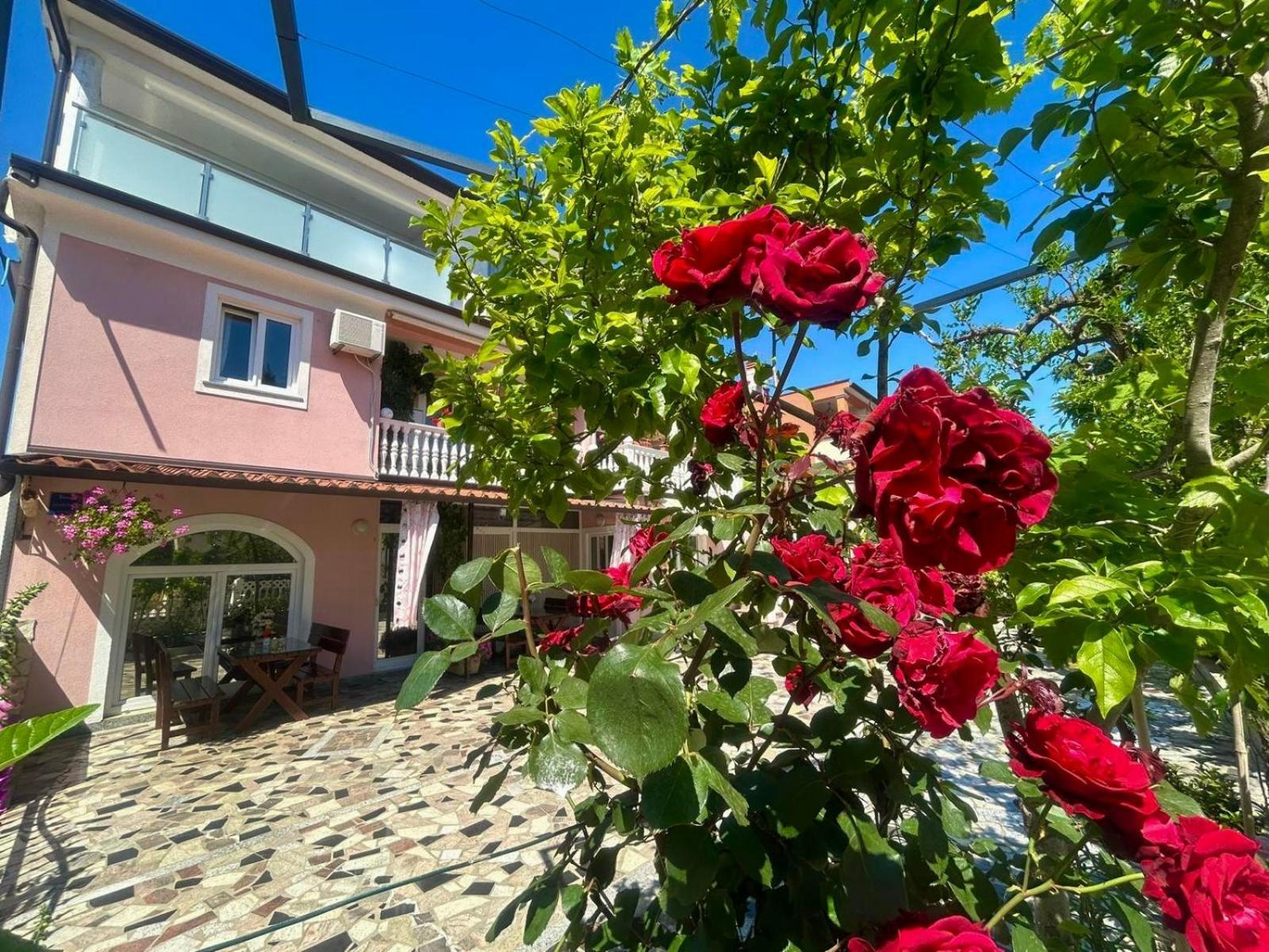 Apartments Tereza Novigrad  Luaran gambar